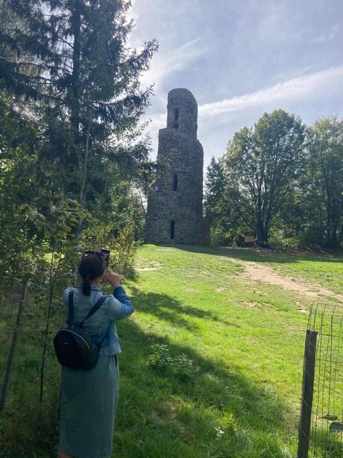 Hostinec U Pejska A Kocicky Mariánské Lázně Екстериор снимка